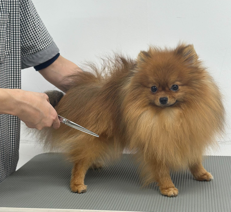 EarthdogTop
